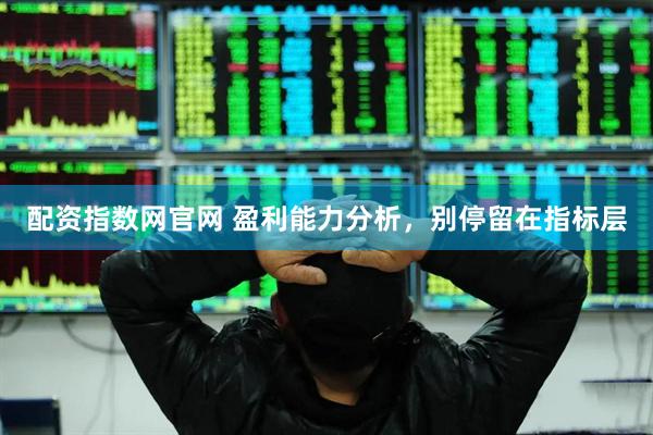 配资指数网官网 盈利能力分析，别停留在指标层