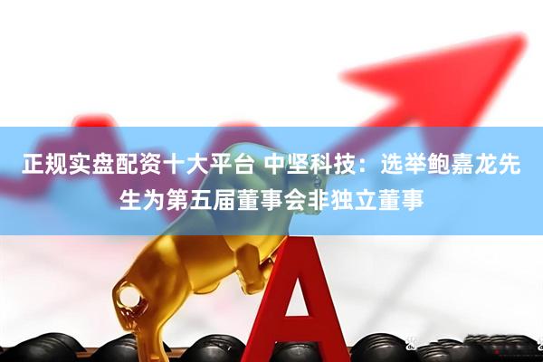正规实盘配资十大平台 中坚科技：选举鲍嘉龙先生为第五届董事会非独立董事